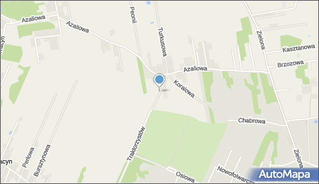 Janiszew gmina Zakrzew, Seledynowa, mapa Janiszew gmina Zakrzew