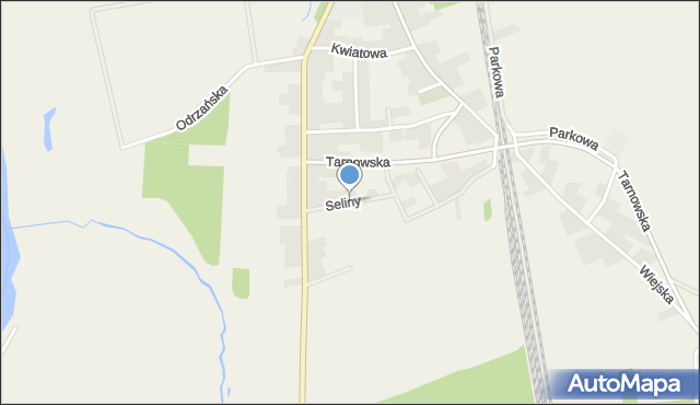 Przywory gmina Tarnów Opolski, Seliny, mapa Przywory gmina Tarnów Opolski