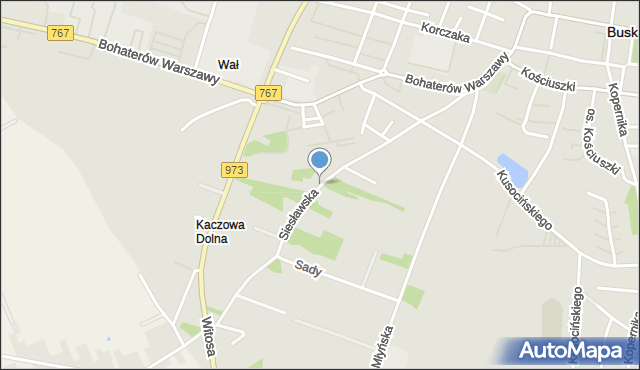 Busko-Zdrój, Siesławska, mapa Busko-Zdrój