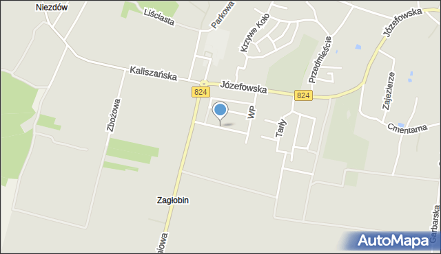 Opole Lubelskie, Sikorskiego Władysława, gen., mapa Opole Lubelskie