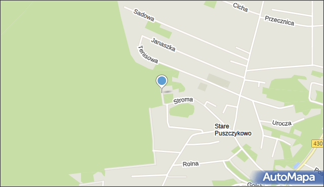 Puszczykowo powiat poznański, Sielankowa, mapa Puszczykowo powiat poznański