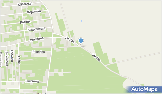 Dębniak gmina Zgierz, Skośna, mapa Dębniak gmina Zgierz