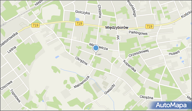 Międzyborów, Skłodowskiej-Curie Marii, mapa Międzyborów