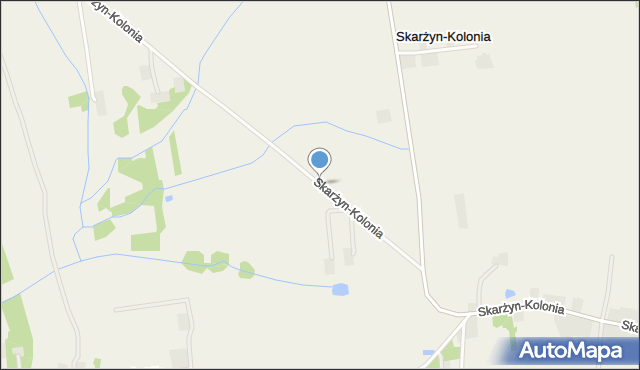 Skarżyn-Kolonia, Skarżyn-Kolonia, mapa Skarżyn-Kolonia