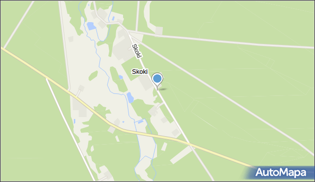 Skoki gmina Gostynin, Skoki, mapa Skoki gmina Gostynin