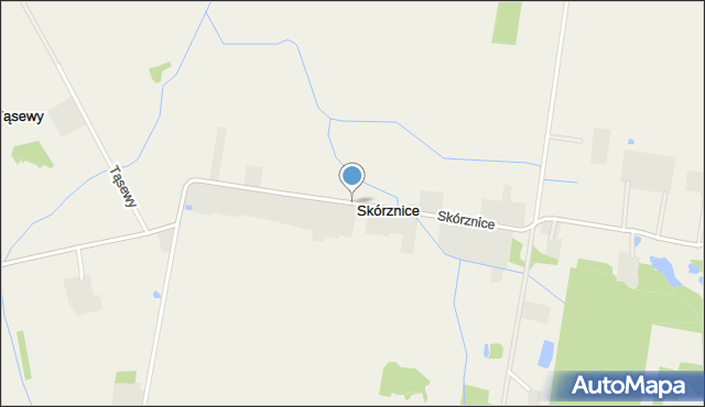 Skórznice, Skórznice, mapa Skórznice