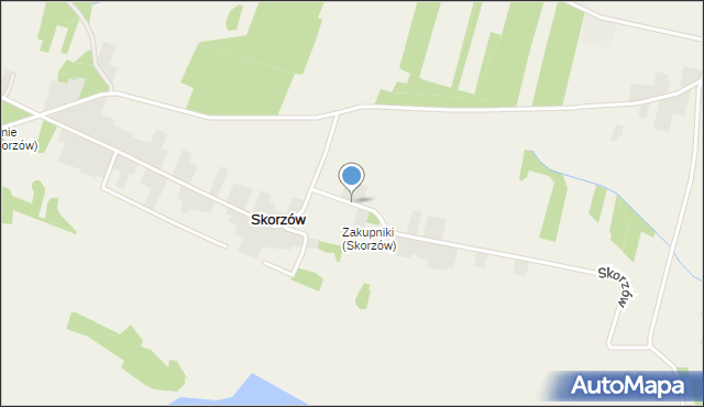 Skorzów, Skorzów, mapa Skorzów