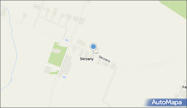 Skrzany gmina Gostynin, Skrzany, mapa Skrzany gmina Gostynin