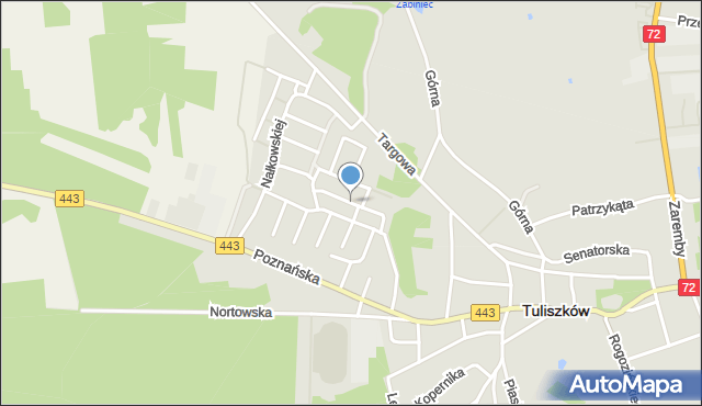 Tuliszków, Skłodowskiej-Curie Marii, mapa Tuliszków