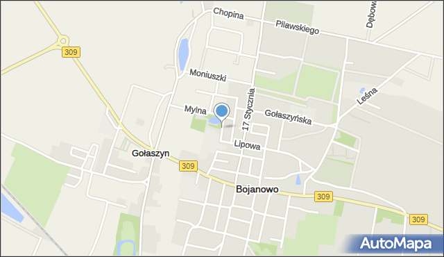Bojanowo powiat rawicki, Słodowa, mapa Bojanowo powiat rawicki