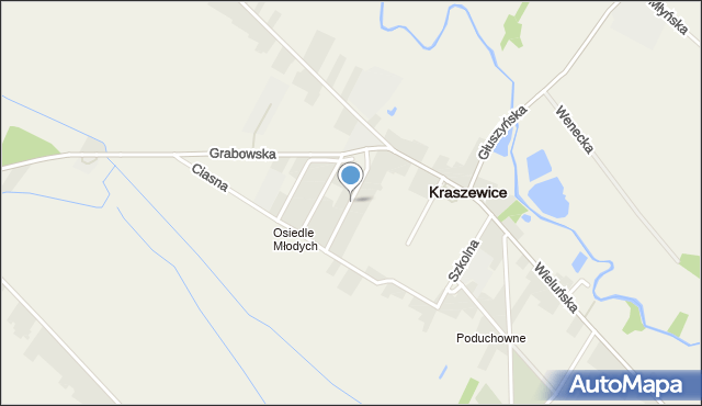 Kraszewice powiat ostrzeszowski, Słowackiego Juliusza, mapa Kraszewice powiat ostrzeszowski
