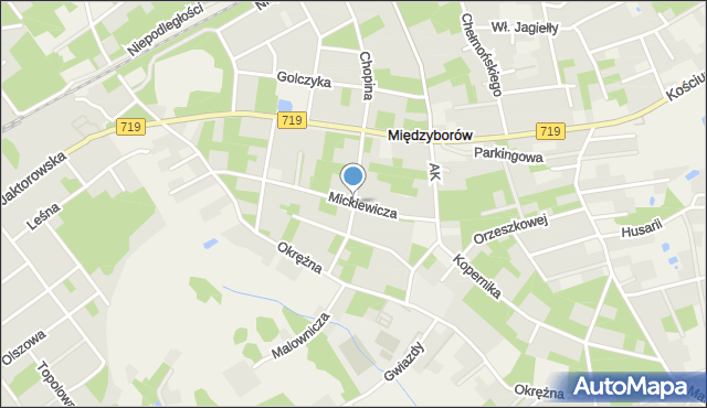 Międzyborów, Słowackiego Juliusza, mapa Międzyborów