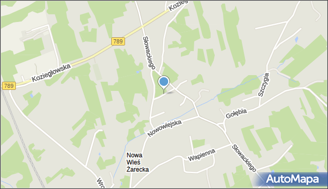 Myszków, Słowicza, mapa Myszków