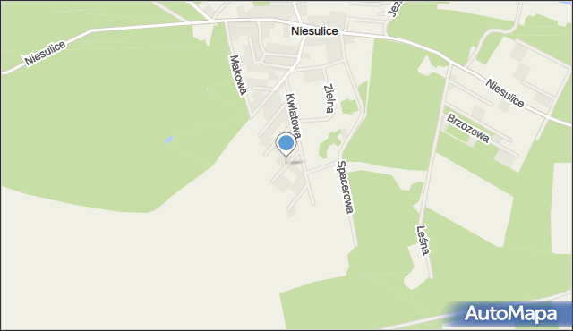 Niesulice, Słonecznikowa, mapa Niesulice