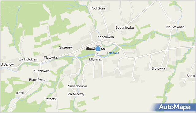 Śleszowice, Śleszowice, mapa Śleszowice