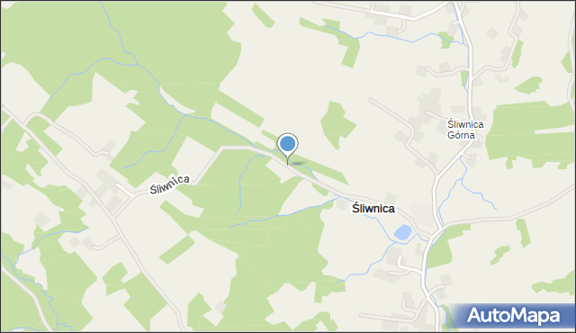 Śliwnica gmina Dubiecko, Śliwnica, mapa Śliwnica gmina Dubiecko