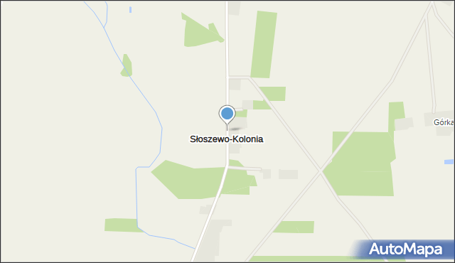 Słoszewo-Kolonia, Słoszewo-Kolonia, mapa Słoszewo-Kolonia