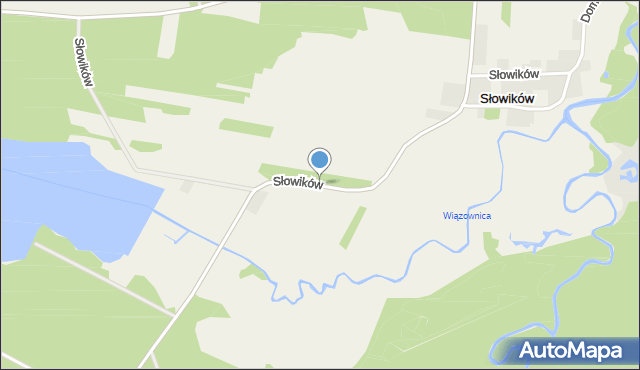 Słowików gmina Przytyk, Słowików, mapa Słowików gmina Przytyk