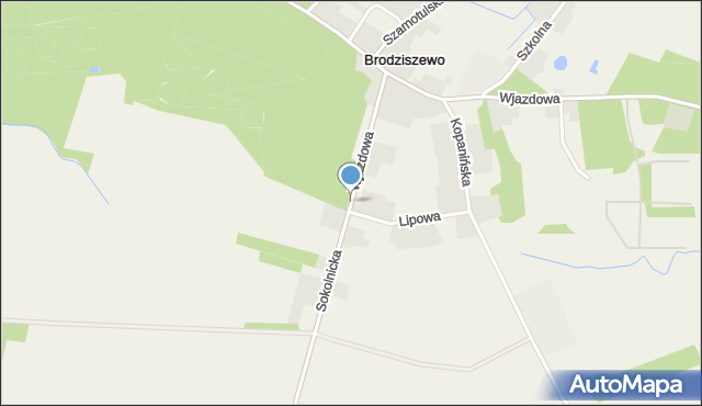 Brodziszewo, Sokolnicka, mapa Brodziszewo