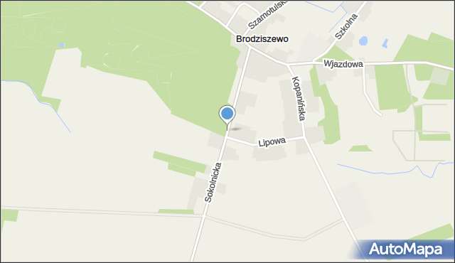 Brodziszewo, Sokolnicka, mapa Brodziszewo