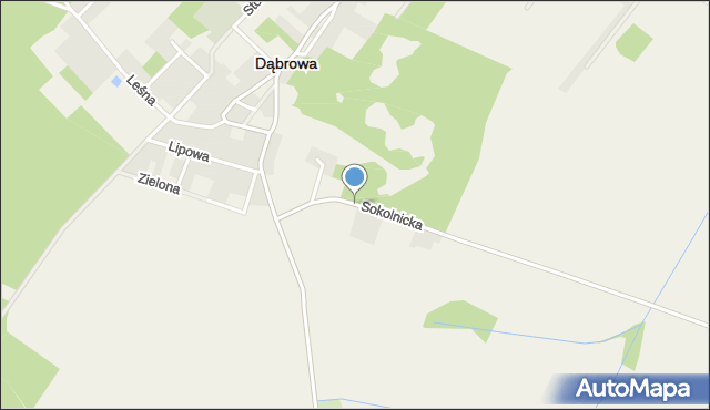 Dąbrowa powiat opolski, Sokolnicka, mapa Dąbrowa powiat opolski