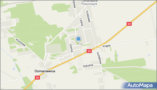 Domaniewice powiat łowicki, Sosnowa, mapa Domaniewice powiat łowicki