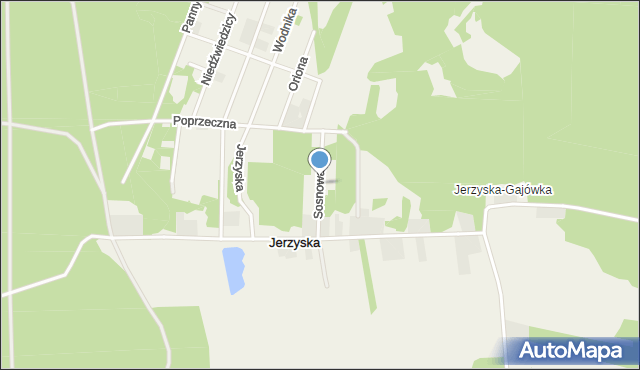 Jerzyska, Sosnowa, mapa Jerzyska