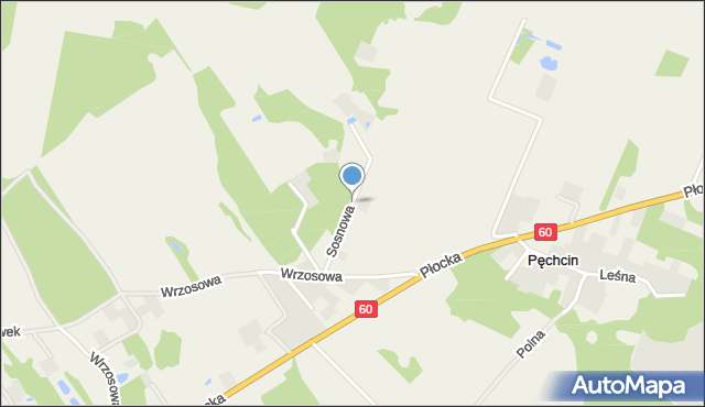 Pęchcin, Sosnowa, mapa Pęchcin