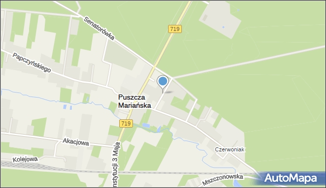 Puszcza Mariańska, Sosnowa, mapa Puszcza Mariańska