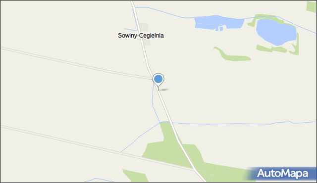 Sowiny-Cegielnia, Sowiny-Cegielnia, mapa Sowiny-Cegielnia