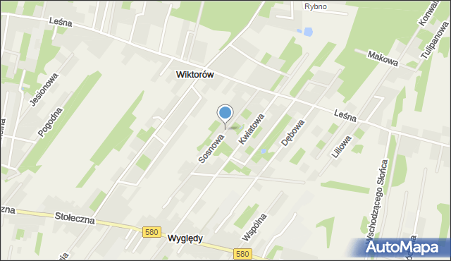 Wyględy, Sosnowa, mapa Wyględy