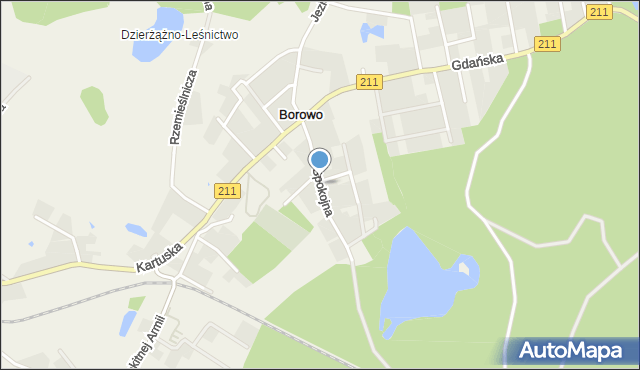 Borowo gmina Kartuzy, Spokojna, mapa Borowo gmina Kartuzy