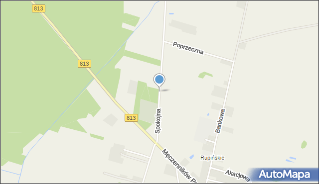 Drelów, Spokojna, mapa Drelów