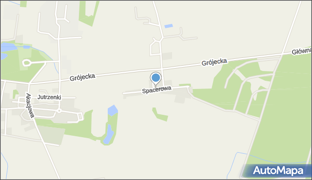 Drwalew gmina Chynów, Spacerowa, mapa Drwalew gmina Chynów