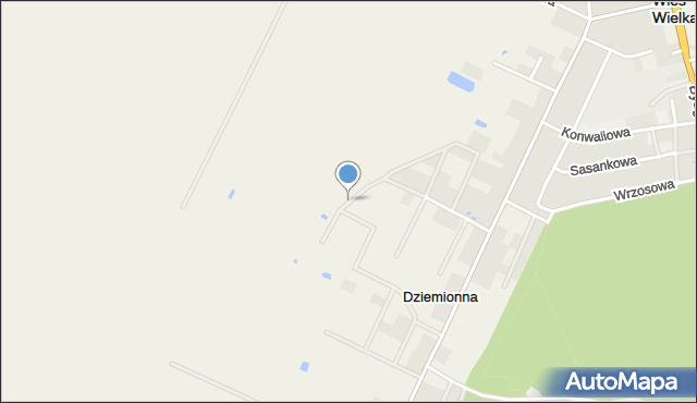 Dziemionna, Sportowa, mapa Dziemionna