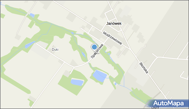 Janówek gmina Tarczyn, Spacerowa, mapa Janówek gmina Tarczyn