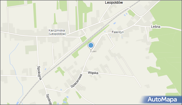 Leopoldów gmina Ryki, Spacerowa, mapa Leopoldów gmina Ryki