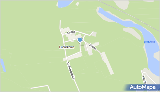 Ludwikowo gmina Mosina, Spacerowa, mapa Ludwikowo gmina Mosina