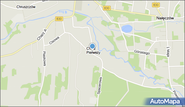 Nałęczów powiat puławski, Spacerowa, mapa Nałęczów powiat puławski