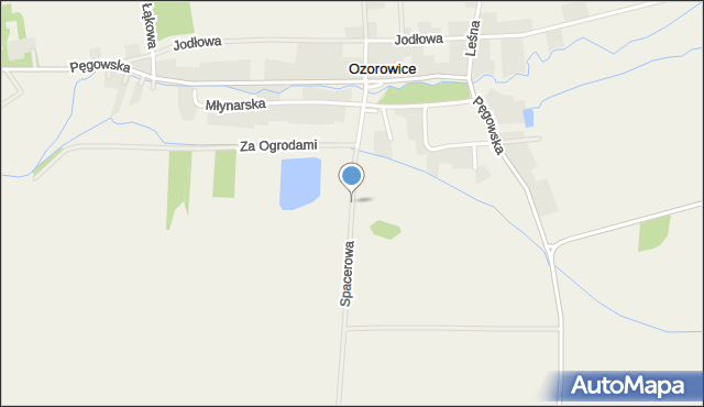 Ozorowice, Spacerowa, mapa Ozorowice