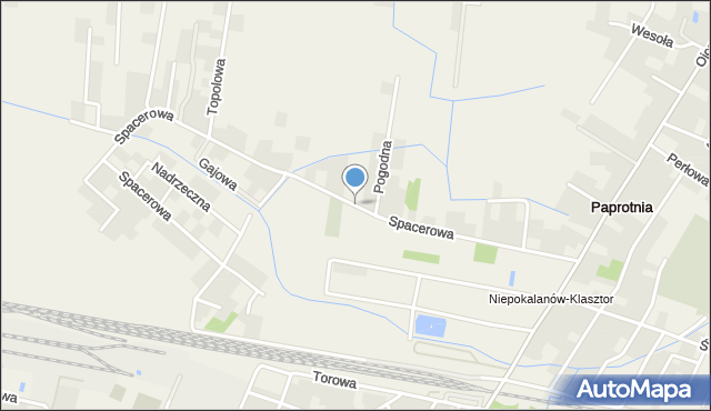 Paprotnia gmina Teresin, Spacerowa, mapa Paprotnia gmina Teresin