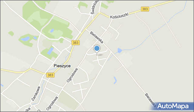 Pieszyce, Sportowa, mapa Pieszyce