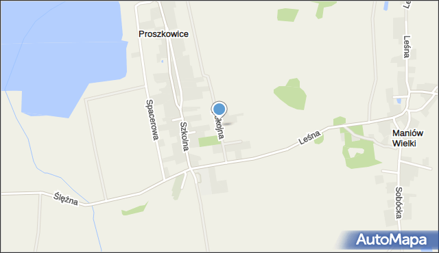 Proszkowice, Spokojna, mapa Proszkowice