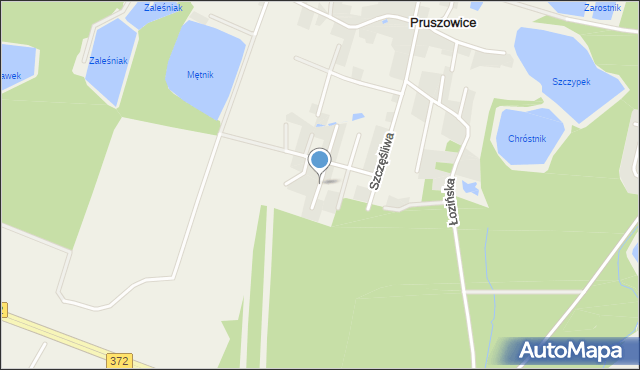 Pruszowice, Spokojna, mapa Pruszowice