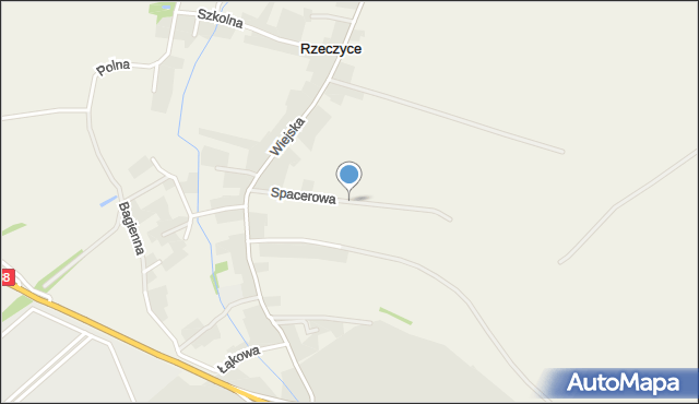 Rzeczyce gmina Rudziniec, Spacerowa, mapa Rzeczyce gmina Rudziniec