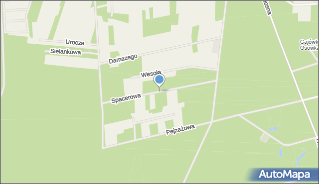 Świniotop, Spacerowa, mapa Świniotop
