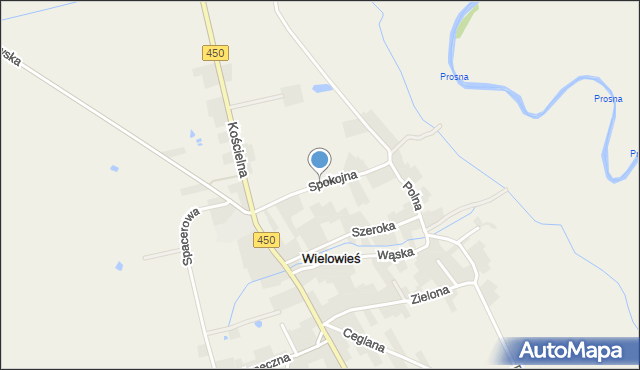 Wielowieś gmina Sieroszewice, Spokojna, mapa Wielowieś gmina Sieroszewice