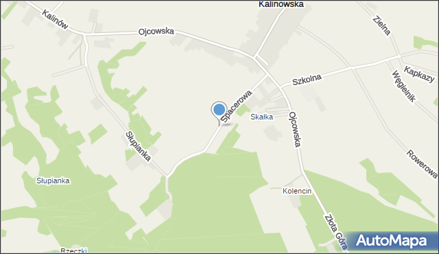 Wola Kalinowska, Spacerowa, mapa Wola Kalinowska