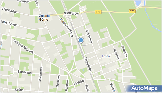 Zalesie Górne, Spacerowa, mapa Zalesie Górne