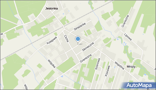 Jesionka gmina Wiskitki, Środkowa, mapa Jesionka gmina Wiskitki